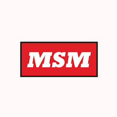 MSM PARTNERS SDN BHD logo