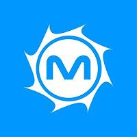 MetroStar logo