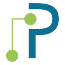 Palmetto Technology Group (PTG) logo
