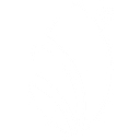 Florida Ice and Farm Company logo