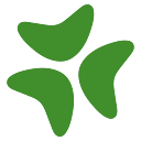 Bloomerang logo