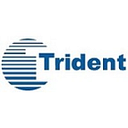 TRIDENT TRANSPORTATION INC logo