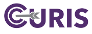 Curis Consulting logo