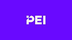 PEI Group logo