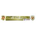 Absolute International Security logo