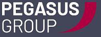 Pegasus Group logo