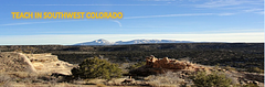 Teach in Southwest Colorado logo