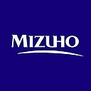 Mizuho Americas Services logo
