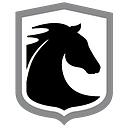 Black Horse Health Institute logo