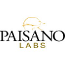 Paisano Labs logo