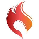 Blayzer Digital Marketing logo
