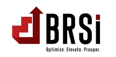 BRSi logo