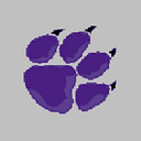 Carrizo Springs CISD logo