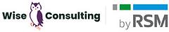 Wise Consulting Careers logo