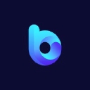 Bluetelecom logo