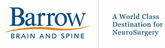 143162 Neurosurgical Associates logo