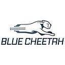 Blue Cheetah Analog Design logo