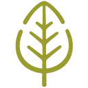 Insight Recruitment logo