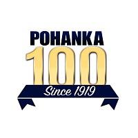 Pohanka Lexus logo
