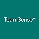 TeamSense logo
