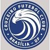 Cruzeiro Futebol Clube logo