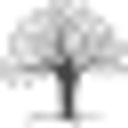 BCFS Health and Human Services logo