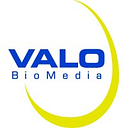 VALO BioMedia logo