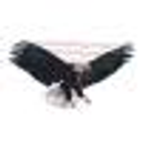 USA Eagle Carports logo