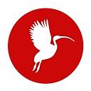 Ibis Public Sector logo