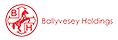 Ballyvesey Holdings logo
