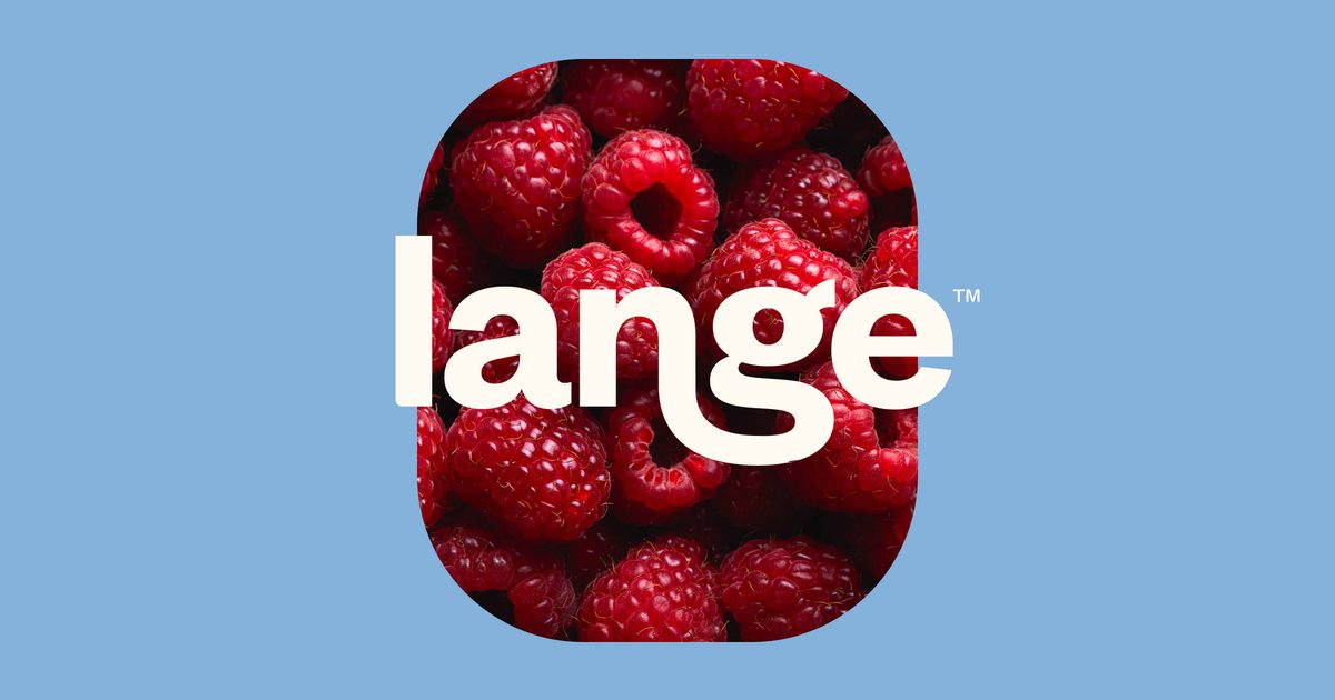 Lange Company logo