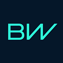BorgWarner logo