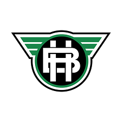 Betting Hero logo