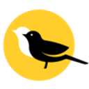 Baltimore Orioles logo