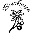 Buckeye Corrugated, Inc. logo