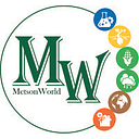 Metson Group logo