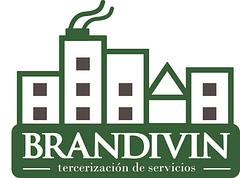 Brandivin logo