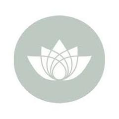 Sunday Natural Products GmbH logo