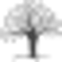 BCFS Health & Human Services logo