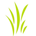 Sturms Seed Services, LLC logo