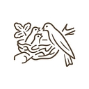 NBS logo