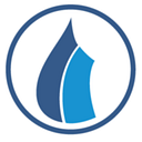 Palmetto Propane logo