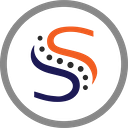 Synergy Spine Solutions logo