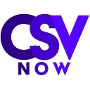Consult Silicon Valley logo