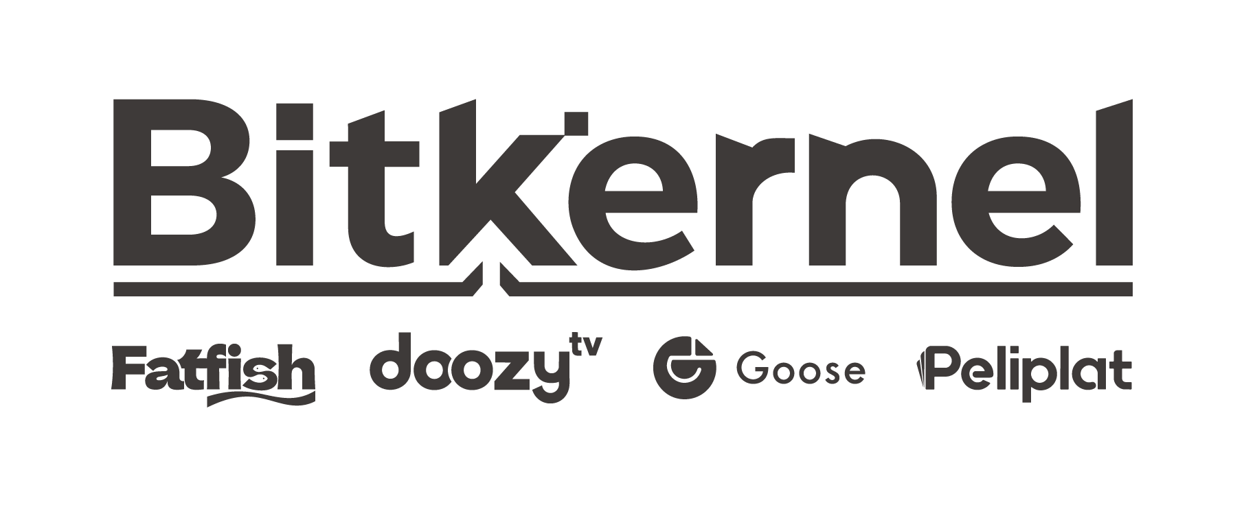 Bitkernel Technology & Affiliated Companies logo