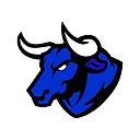 Dallas Bulls logo