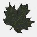 The Inn & Spa at Cedar Falls logo