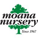Moana Nursery logo