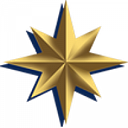 Doyles Sheehan logo
