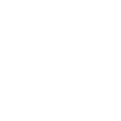Point Nine logo